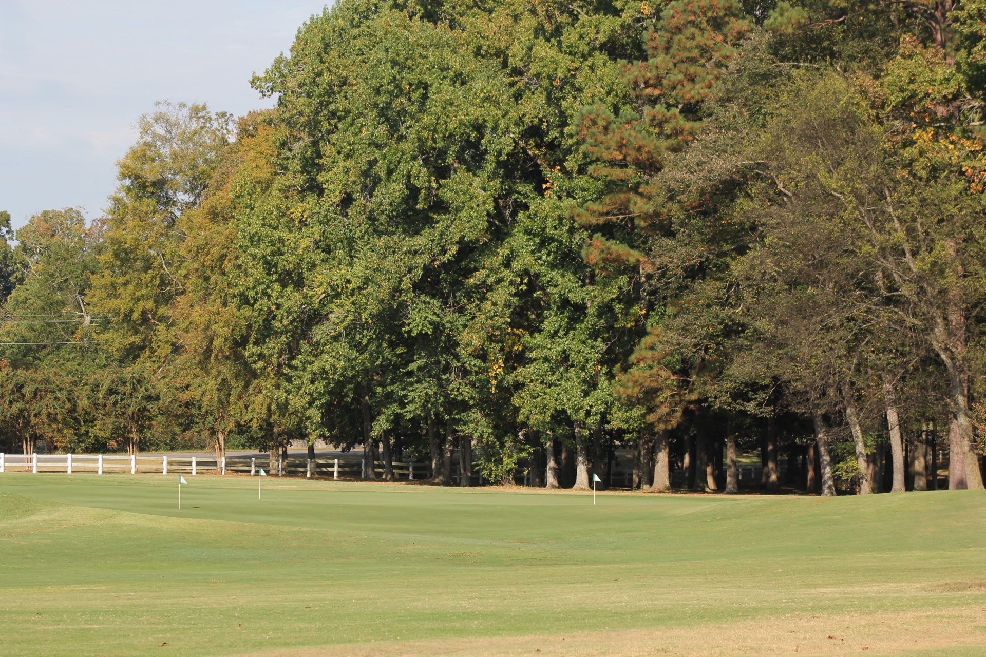 Golf course video background